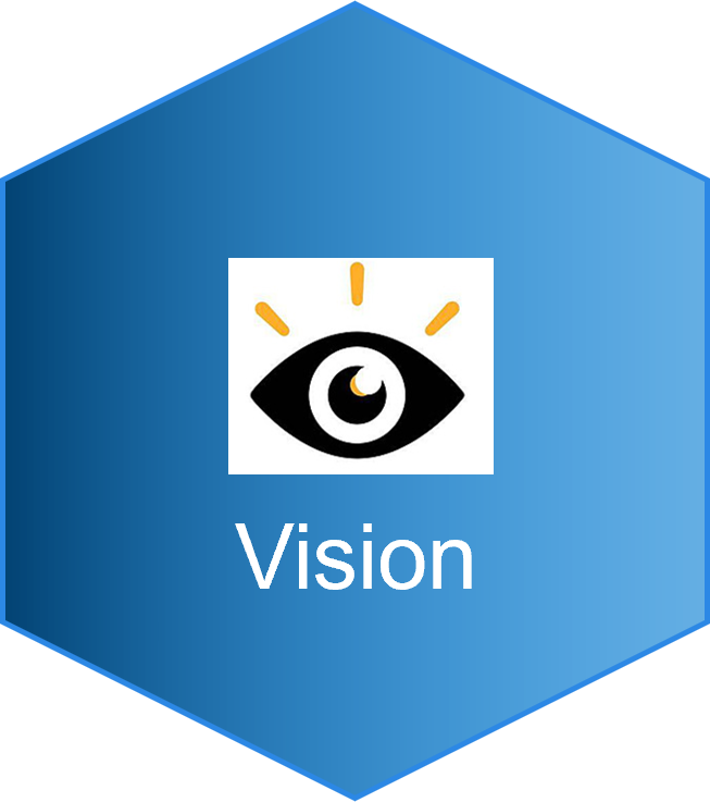 Vision
